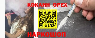 прущие крисы Камышлов