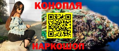 прущие крисы Камышлов