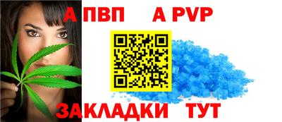 прущие крисы Камышлов