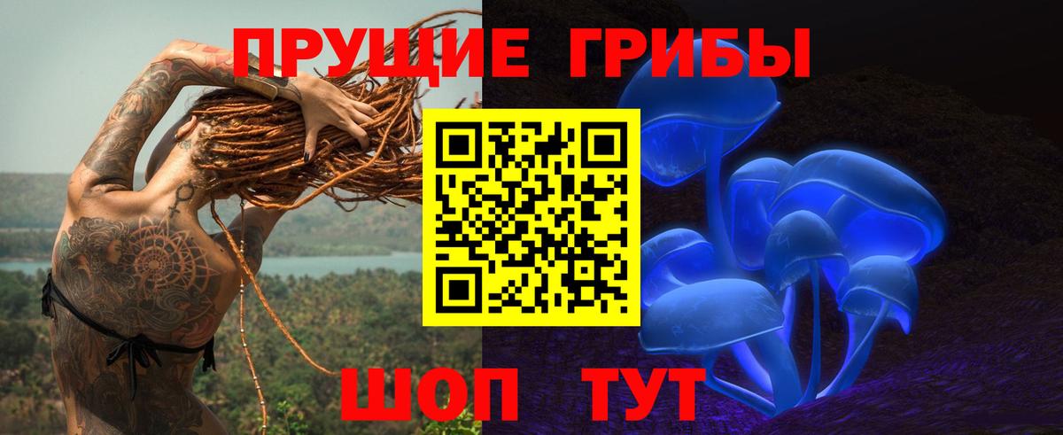 Псилоцибиновые грибы прущие грибы  Псилоцибиновые грибы мухоморы  Вход с VPN  Чайковский 
