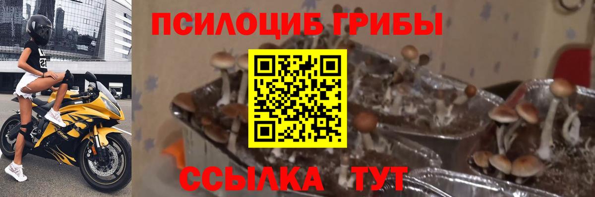 Галлюциногенные грибы ЛСД Чайковский